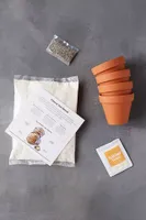 Flower Pot Bread Making Kit, Set of 4