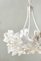 Magnolia Chandelier