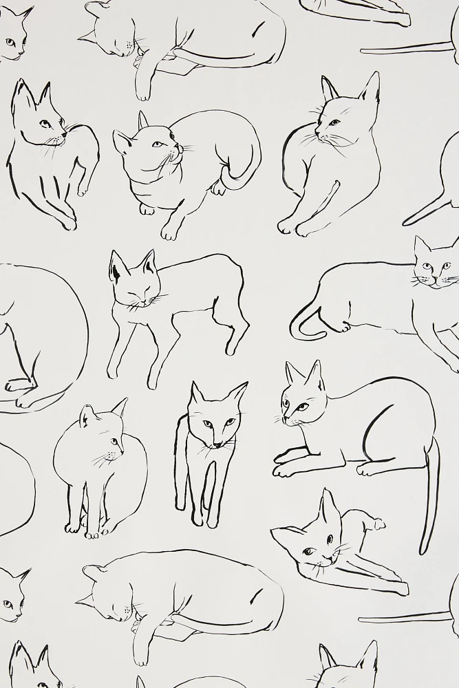 Anthropologie Cat Study Wallpaper