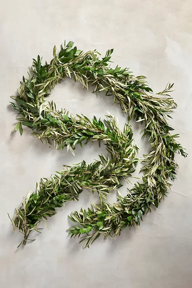 Fresh Israeli Ruscus + Olive Leaf Garland