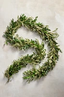 Fresh Ruscus + Olive Leaf Garland