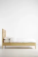 Textured Trellis Bed