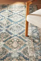 Amber Lewis for Anthropologie Persian Rug