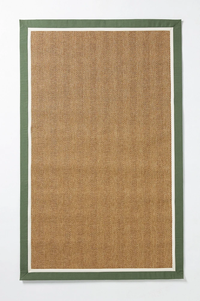 Flatwoven Double Border Performance Rug