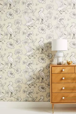Egrets Wallpaper