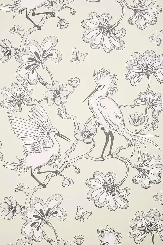 Egrets Wallpaper