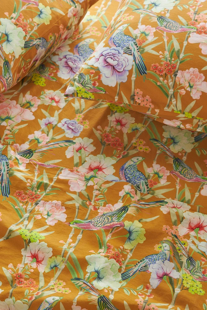 Organic Cotton Sateen Printed Sheet Set