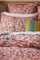 Priyanka Organic Cotton Percale Duvet