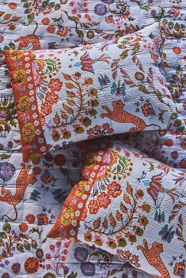 Kelcey Organic Cotton Printed Shams, Set of 2