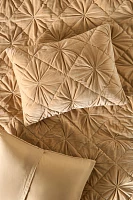 Velvet Trova Quilted Shams, Set of 2