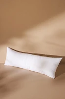 Decorative Pillow Insert