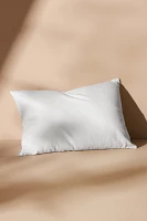 Decorative Pillow Insert