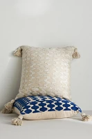 Akna Embroidered Pillow