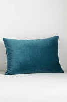 Embroidered Velvet Frame Pillow