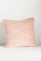 Velvet Frame Pillow