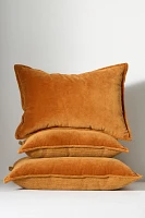 Velvet Trova Pillow