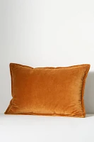 Velvet Trova Pillow