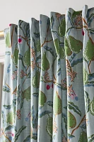 Cotton Pear Printed Curtain