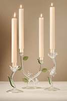 Ivie Glass Candle Holder