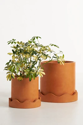 Scalloped Terracotta Pot