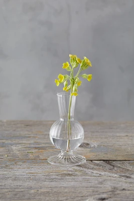 Scalloped Glass Vase