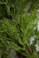 Faux Cedar Wreath