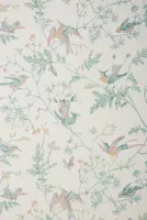 Cole & Son Hummingbird Wallpaper