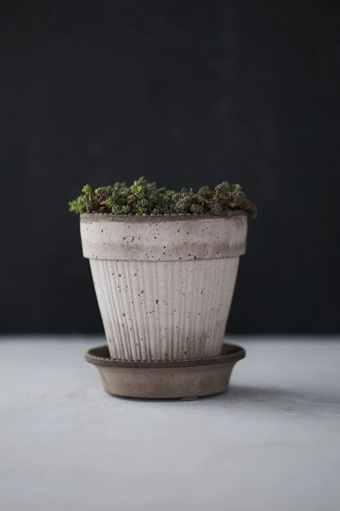 Bergs Dotted Pot + Saucer