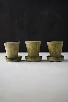 Earth Fired Clay Herb Pot + Saucer, Set of 3