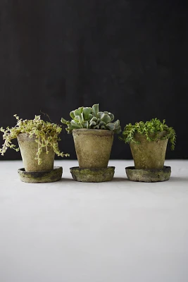 Earth Fired Clay Herb Pot + Saucer, Set of 3