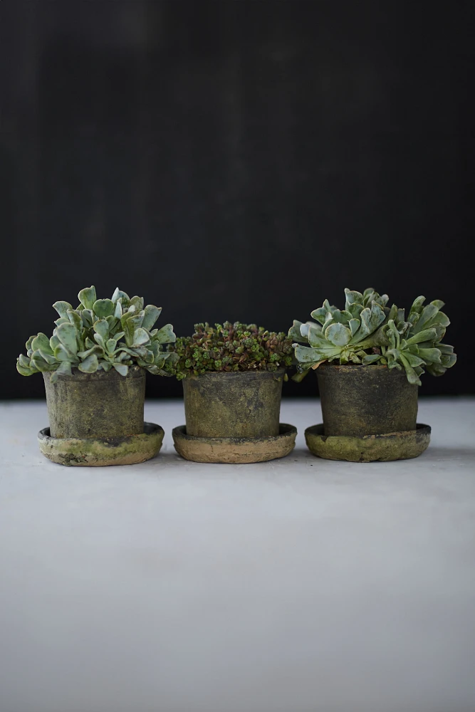 Earth Fired Clay Mini Pot + Saucer, Set of 3