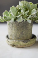 Earth Fired Clay Mini Pot + Saucer, Set of 3