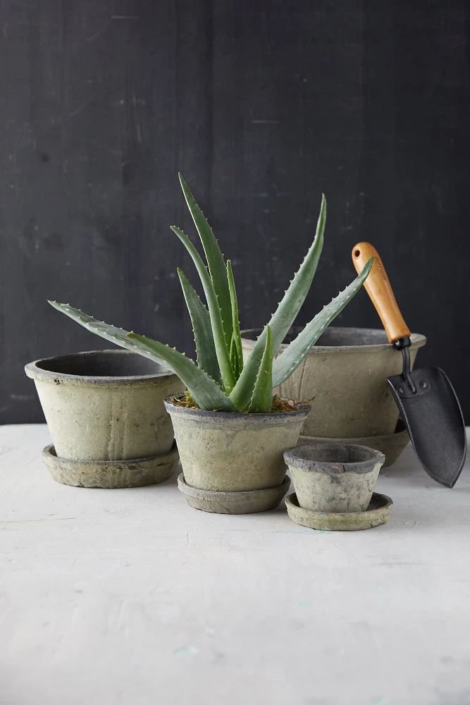 Earth Fired Clay Thin Rim Pot + Saucer Set