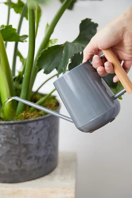 Beech Wood Handle Watering Can