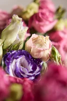 Fresh Lisianthus Bunch