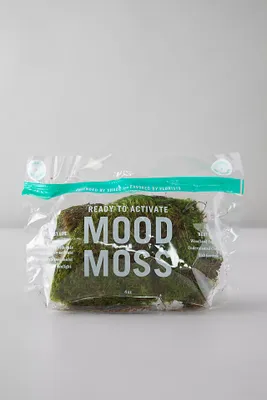 Preserved Mood Moss