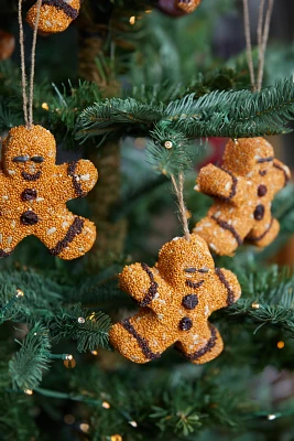 Bird Seed Gingerbread Men, Set of 3