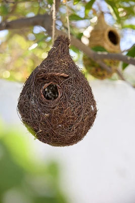 Brushwood Birdhouse