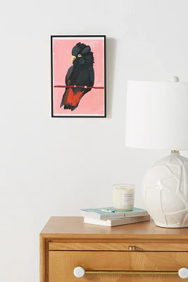 Red-Tailed Black Cockatoo Wall Art