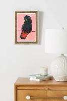 Red-Tailed Black Cockatoo Wall Art