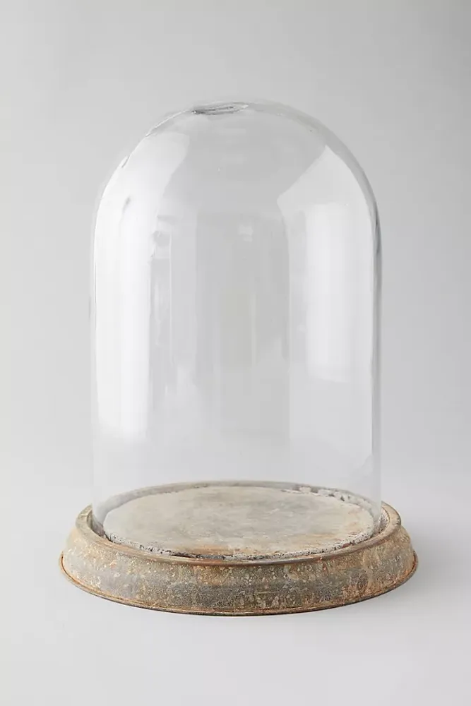 Distressed Iron + Glass Cloche