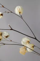 Bougainvillea Blossom Bunch