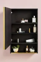 Erma Mirrored Bath Cabinet