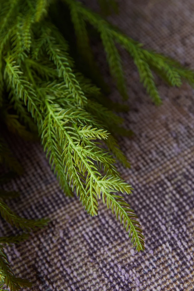 Faux Cryptomeria Wreath