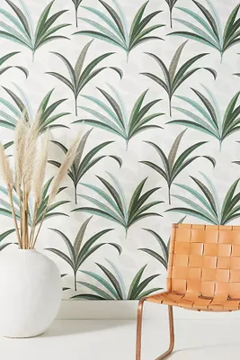Morocco Palm Wallpaper