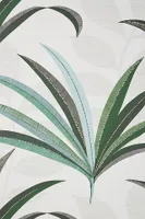 Morocco Palm Wallpaper
