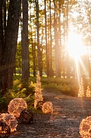 Stargazer Nature Effects Illuminated Vine Sphere