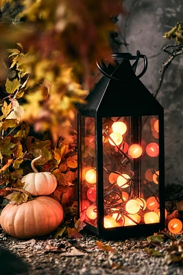 Stargazer Garden Lights Set of 21 Bulbs, Pumpkin Spice