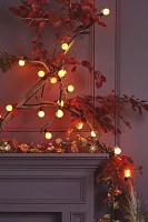 Stargazer Garden Lights Set of 21 Bulbs, Pumpkin Spice