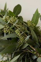 Fresh Eucalyptus + Israeli Ruscus Garland